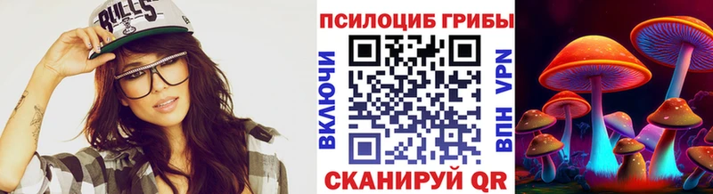 Галлюциногенные грибы Psilocybe купить наркотик Хасавюрт