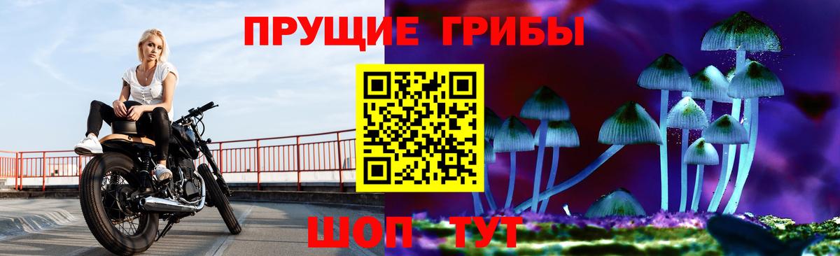 Хасавюрт  Галлюциногенные грибы Psilocybe  Псилоцибиновые грибы MAGIC MUSHROOMS  Вход с VPN 